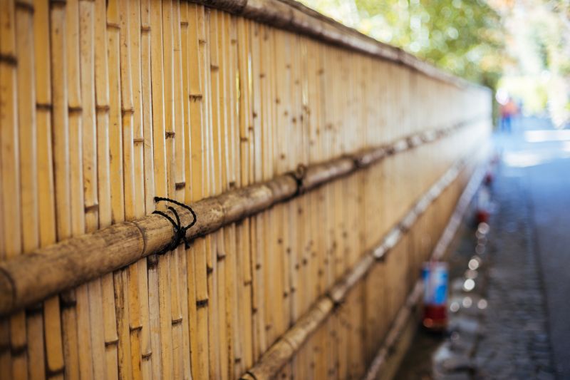 Inside of Bamboo Fence