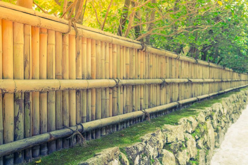 Bamboo Fence Maintenance