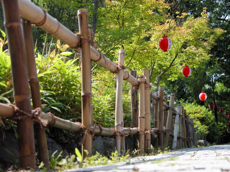 Products For Bamboo Fence Installations in use
